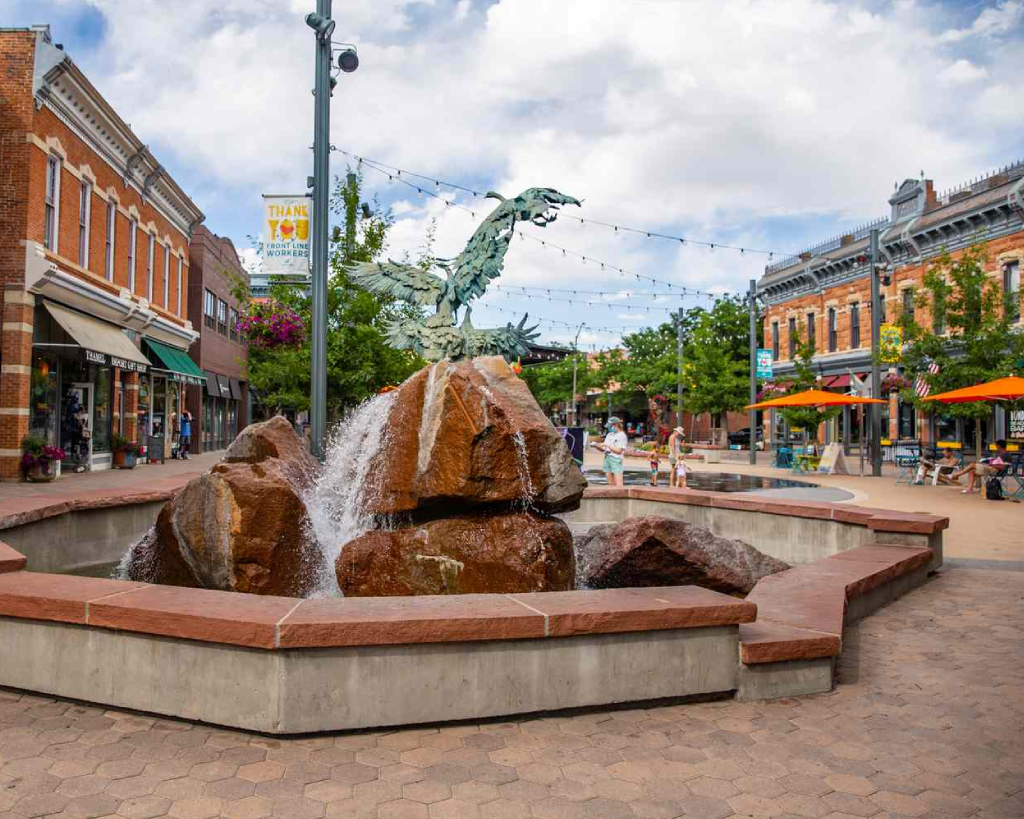 car service from denver airport to Fort Collins